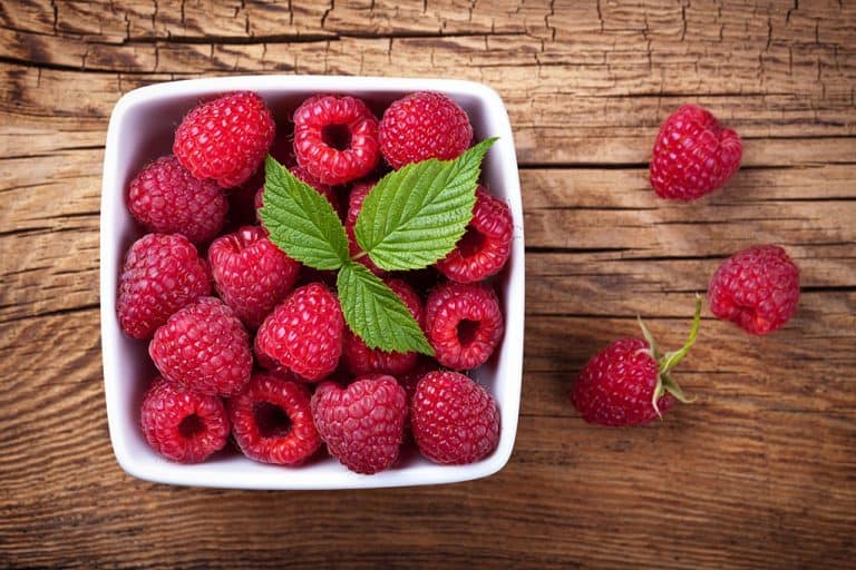 Can Cats Eat Raspberries? How Safe Are They?