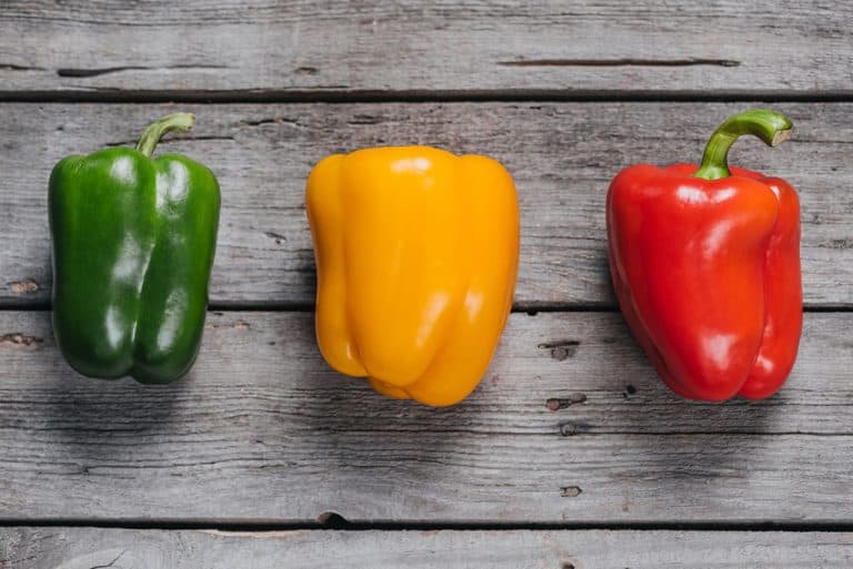 Can Cats Eat Bell Peppers? A Veterinarian Answers.
