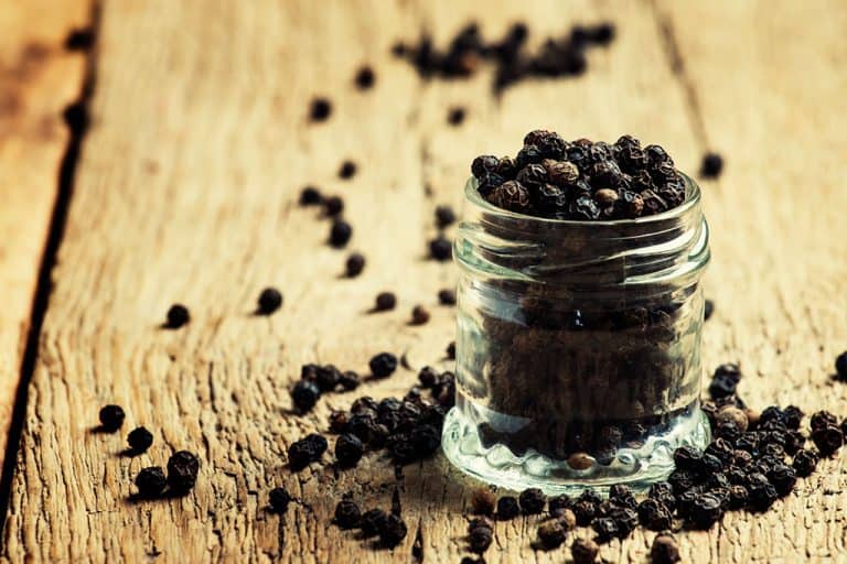 Cat Cats Eat Black Pepper? Will It Make My Cat Sick??