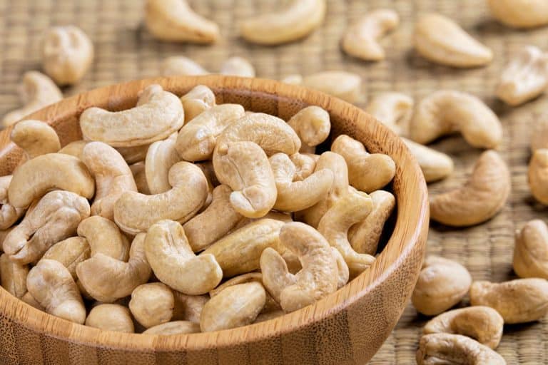 Ask a Vet Can Cats Eat Cashews? How Dangerous Are They?