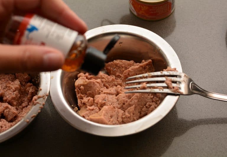 The Best Supplements for Cats With Kidney Disease